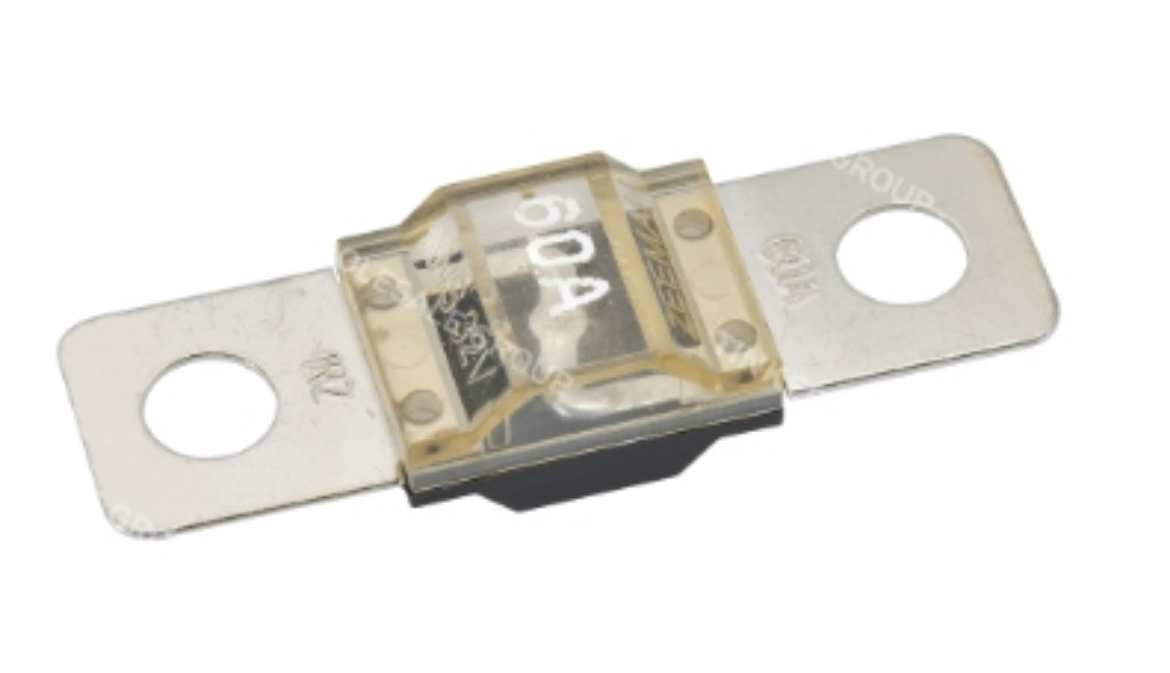 Picture of 40 AMP ANS FUSE