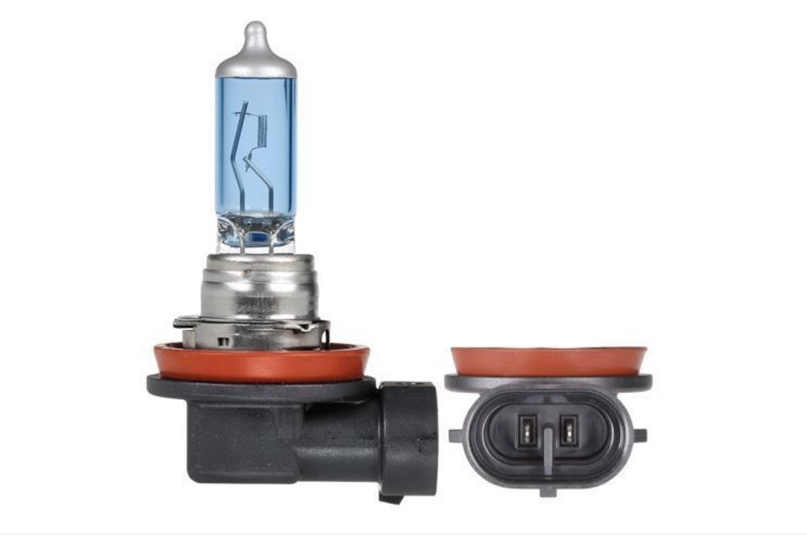 Picture of H11 12V 55W PGJ-19-2 INTENSE BL