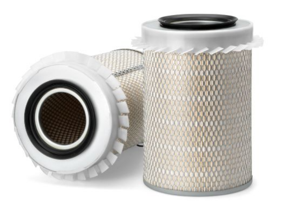 Picture of AIR FILTER     P775732
