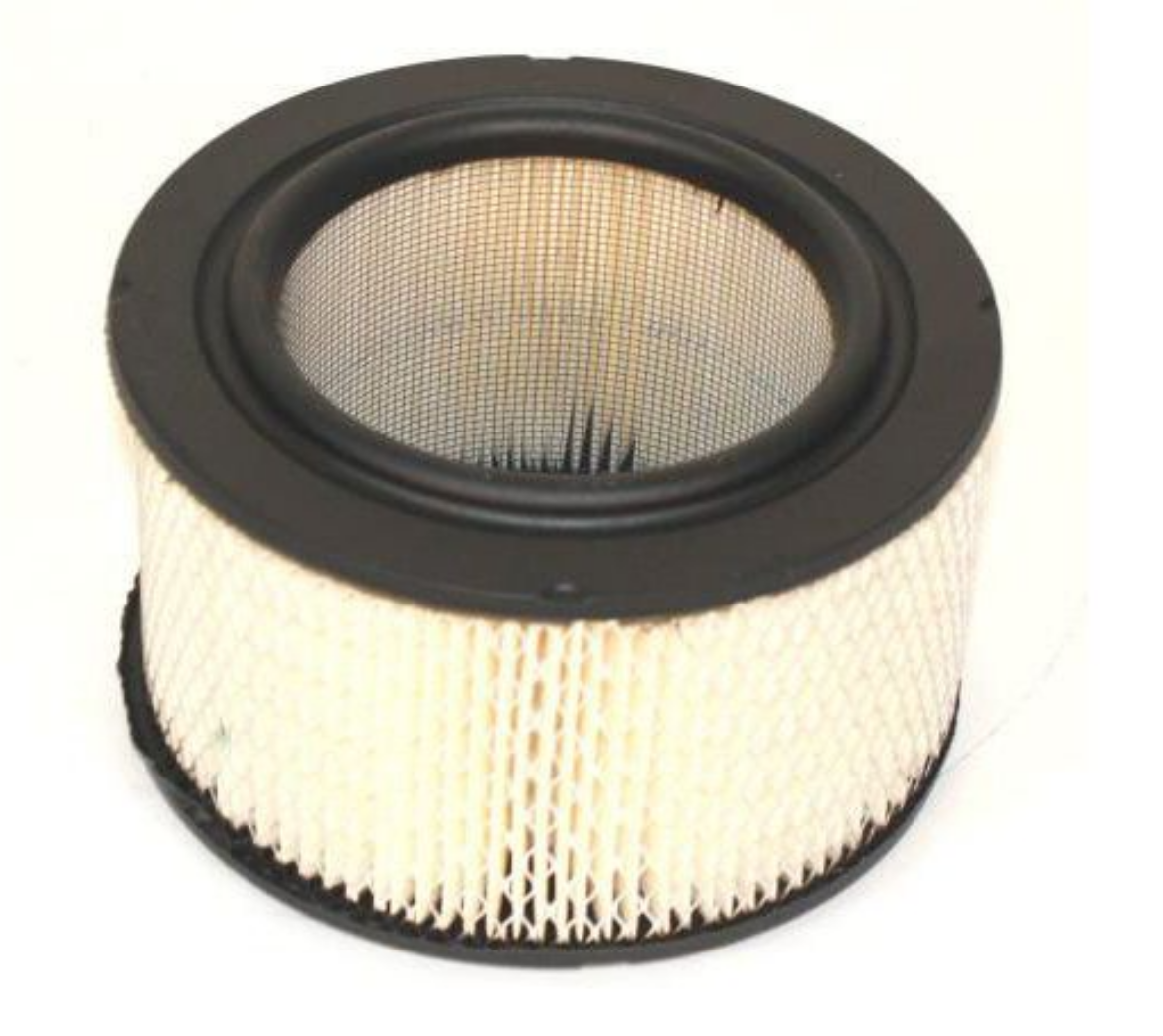 Picture of AIR FILTER     P500056