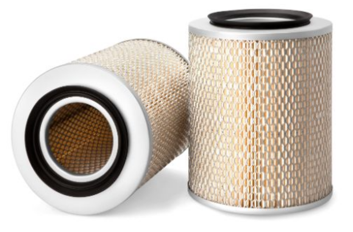 Picture of AIR FILTER     P500039