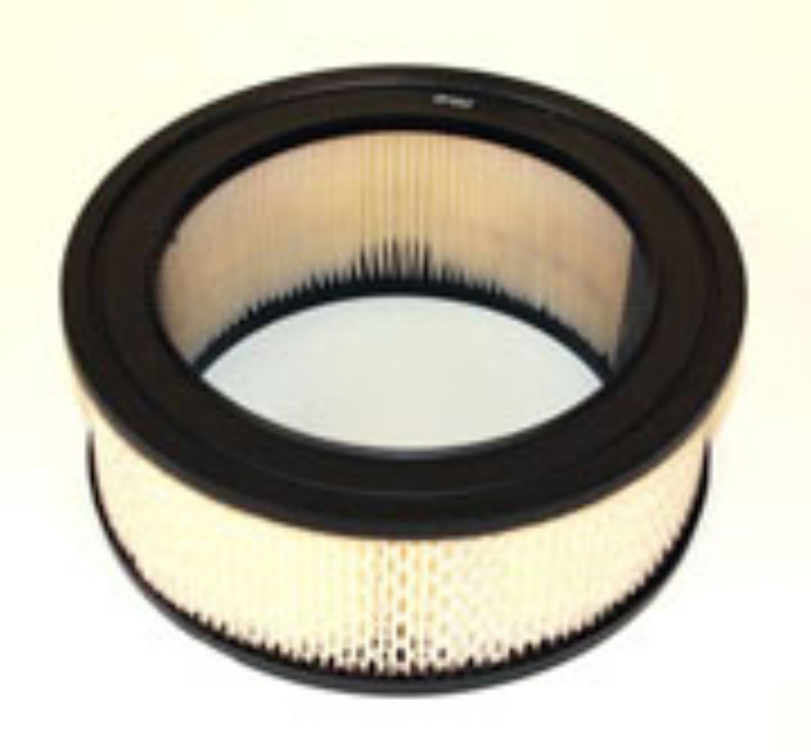 Picture of AIR FILTER    P528216