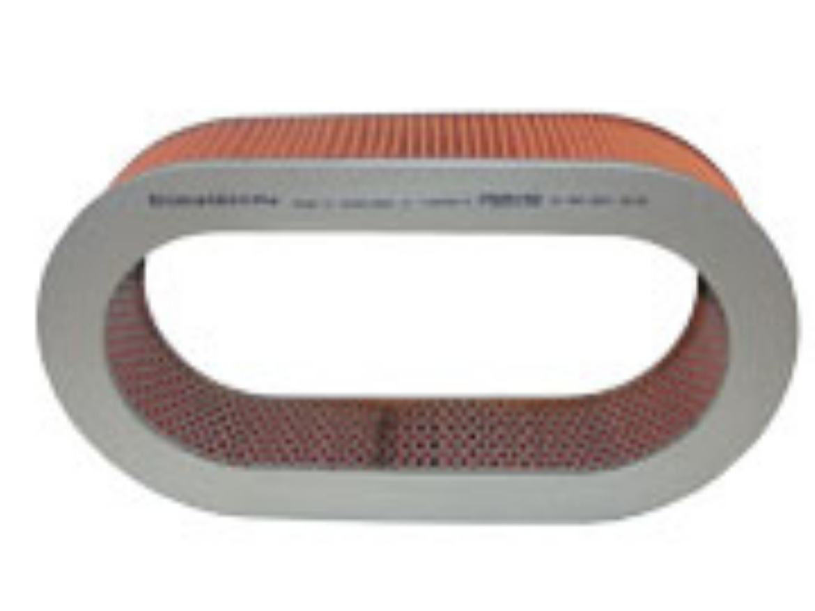 Picture of AIR FILTER     AF25379