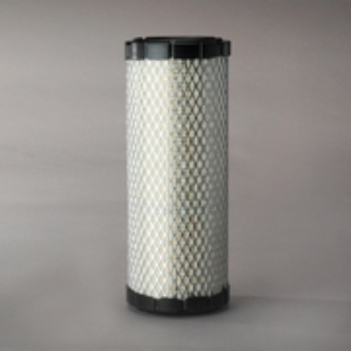 Picture of AIR FILTER PRIMARY - use with P822858     AF25551