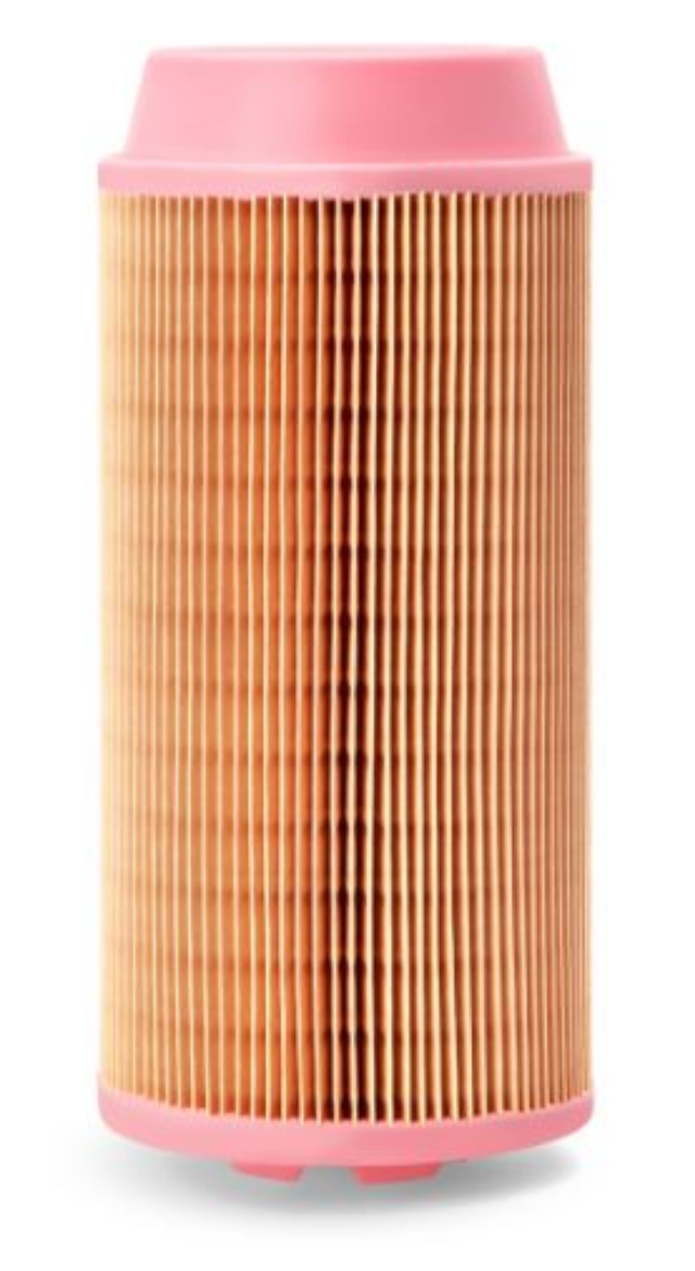 Picture of AIR FILTER PRIMARY P778979