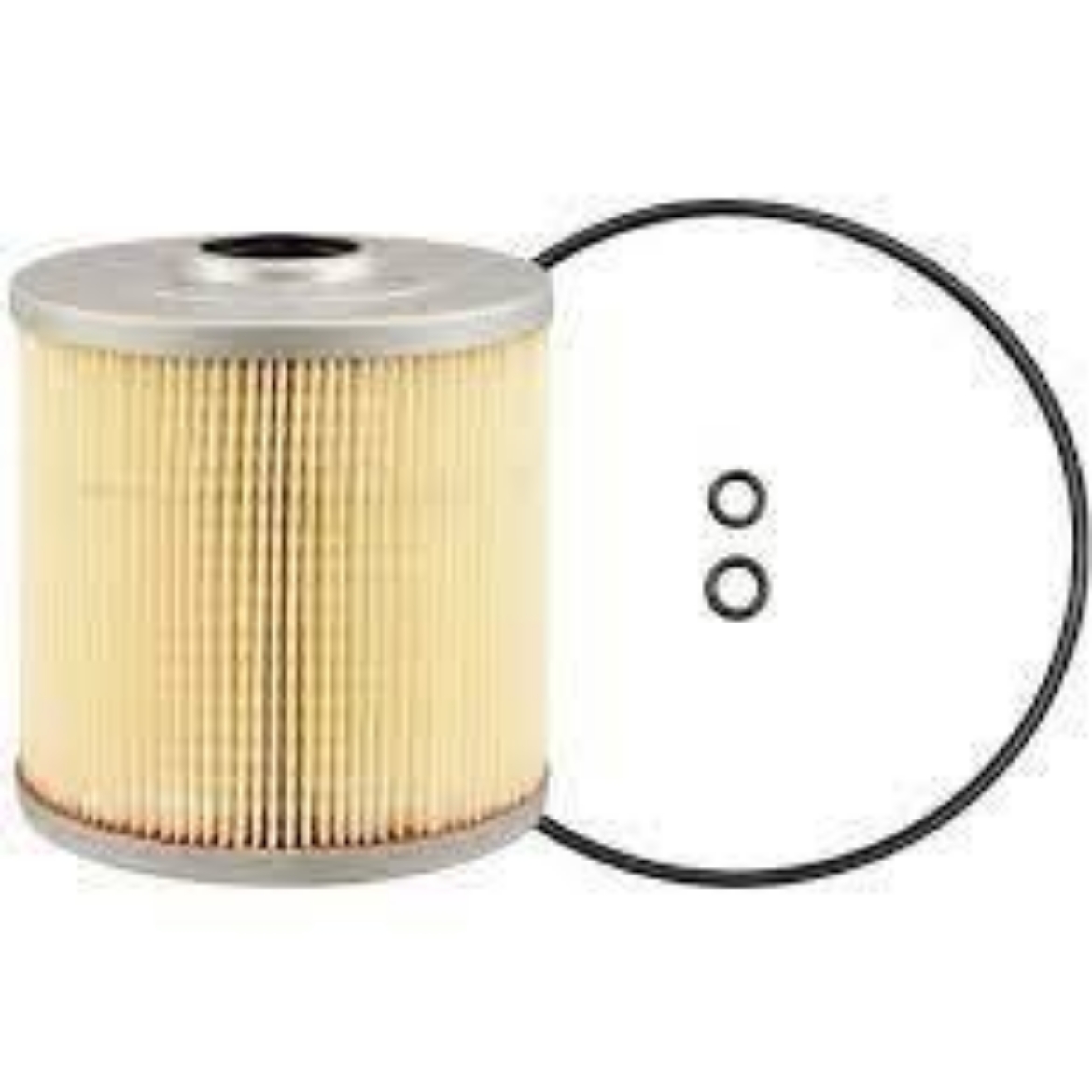 Picture of FUEL FILTER - matches  FF5363        P502226