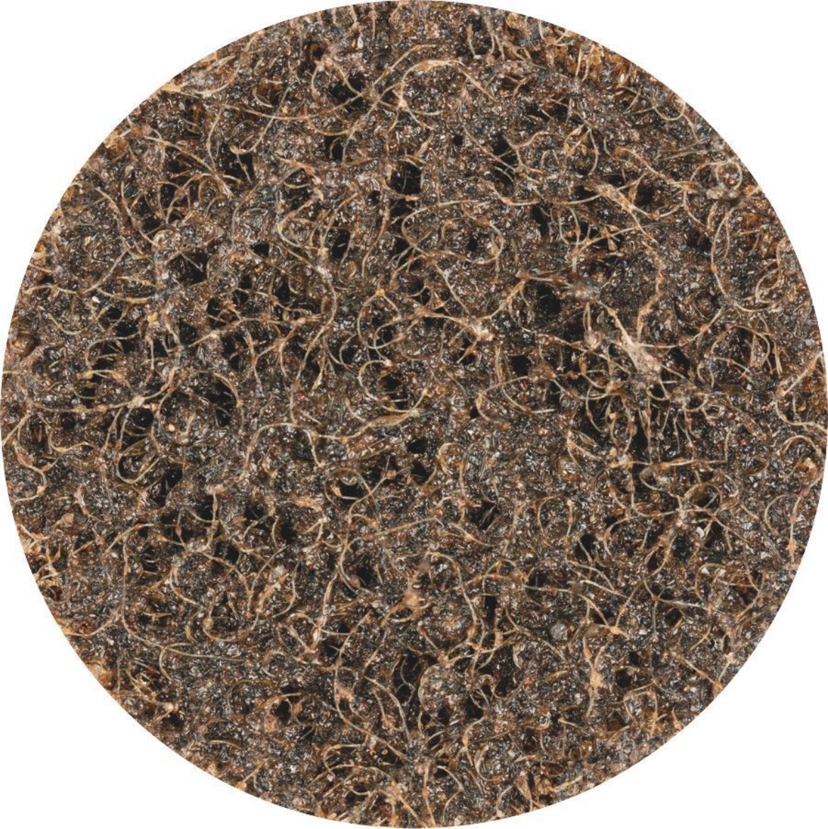 Picture of PFERD COMBIDISC hard non-woven disc CDR dia. 50 mm A100G for fine grinding and finishing