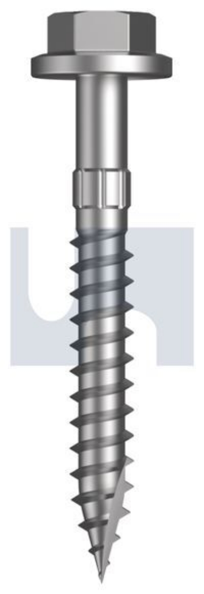 Picture of Timber Self Drilling Screws Flanged Hex T17 CL4: #14-10 x 50