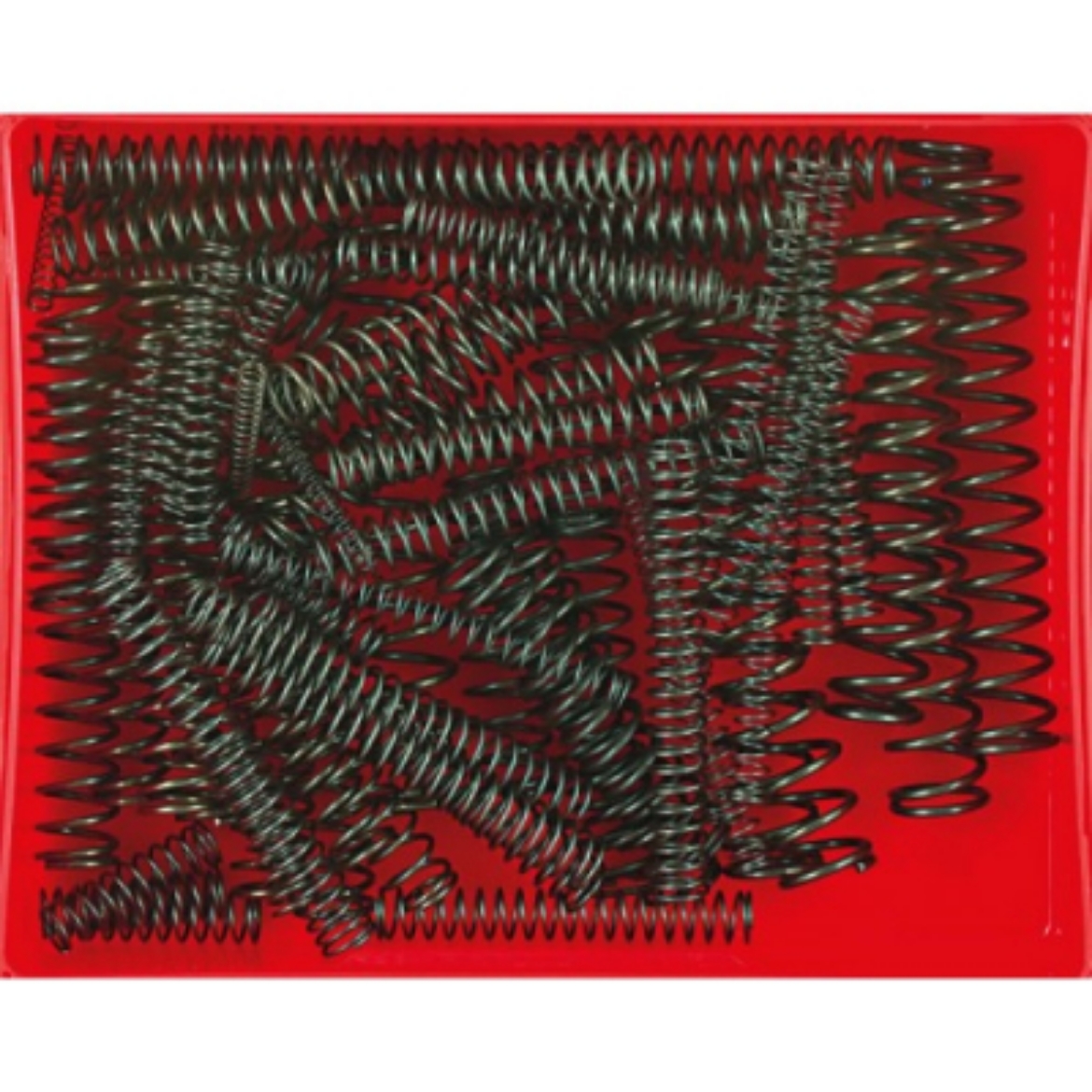 Picture of Compression Spring Assortment