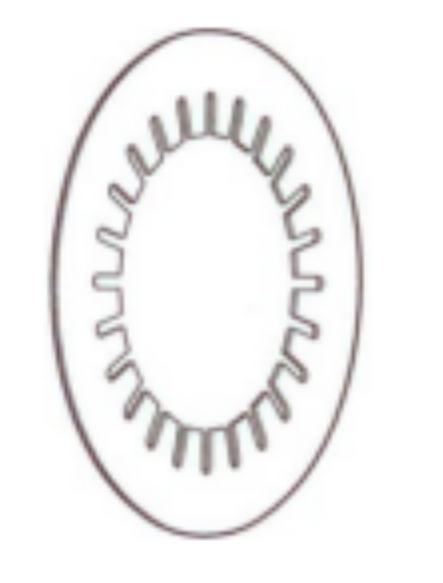 Picture of Speed Nut to suit LUBE PAD/WEAR PAD KIT ROUND