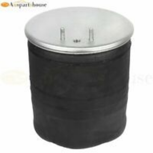 Picture of GOODYEAR AIRBAG 1R12-552