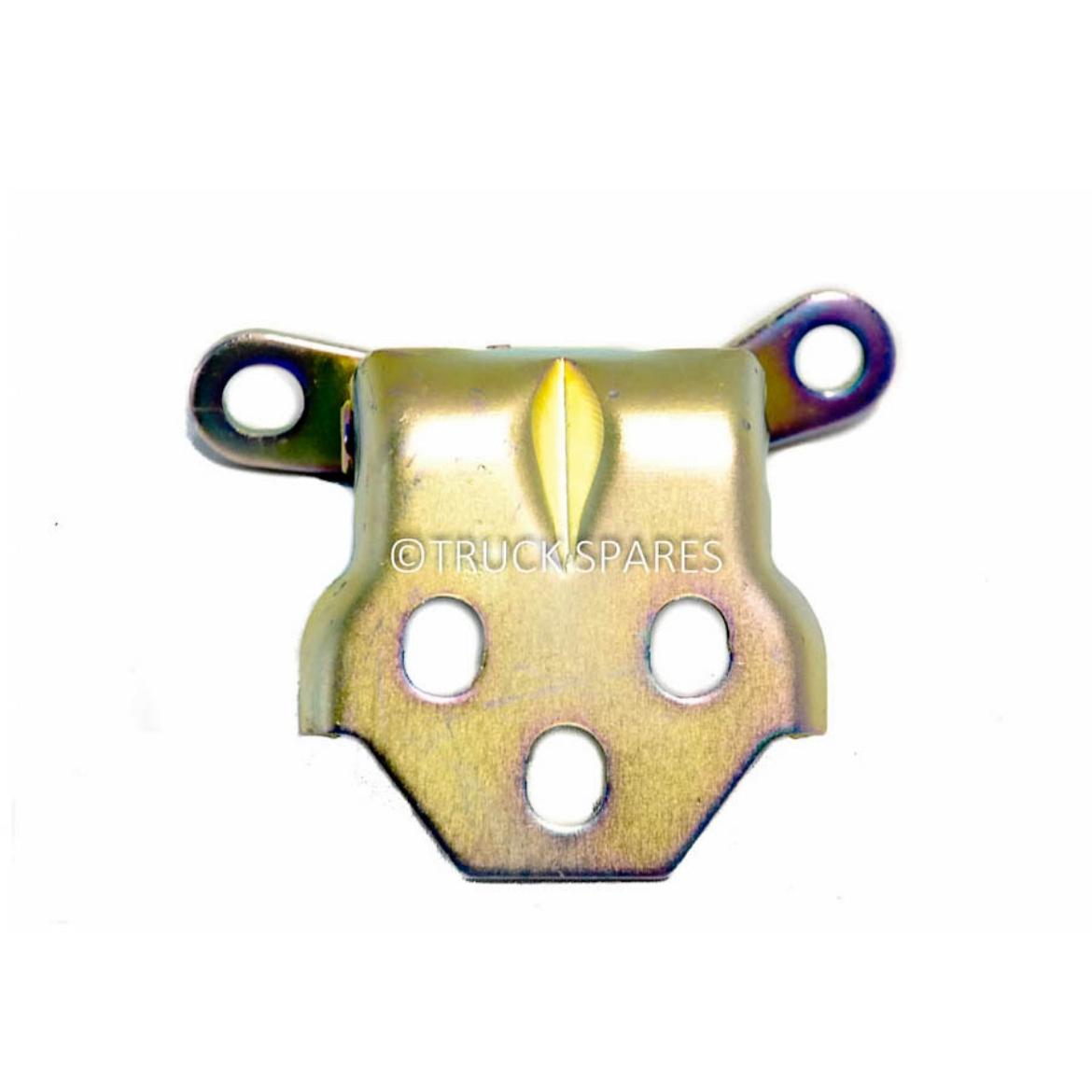 Picture of Lower RH door hinge suit Hino