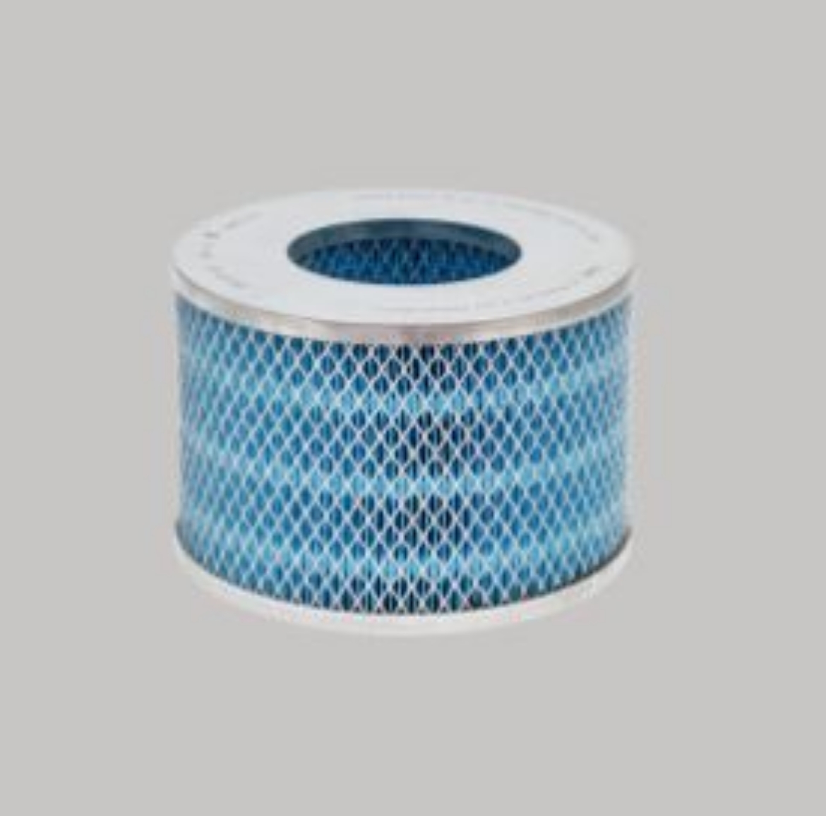 Picture of AIR FILTER, PRIMARY DONALDSON BLUE